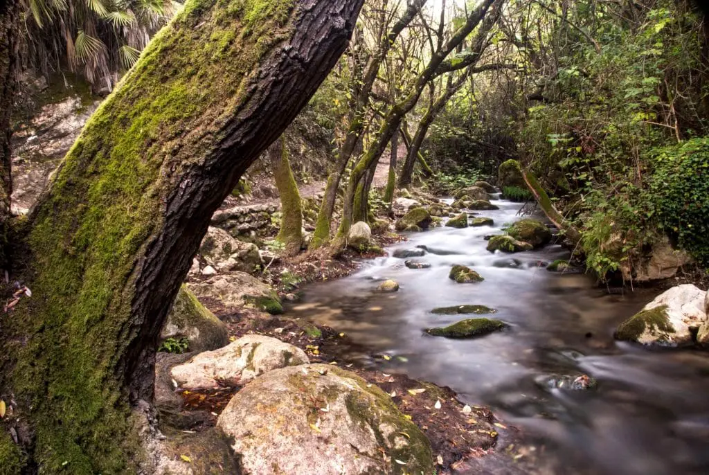 Qué ver en El Bosque, Cádiz: descubre sus tesoros ocultos