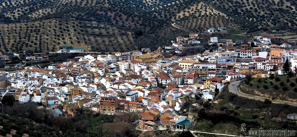 Qué ver en Algarinejo, Granada: Secretos y encantos por descubrir