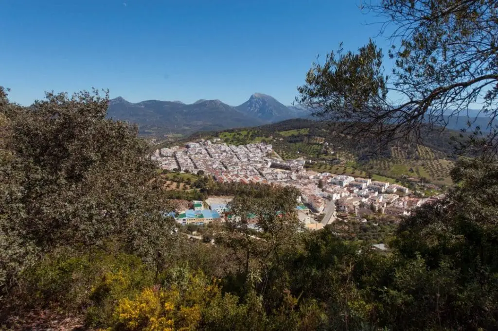 Descubre los secretos ocultos de Prado del Rey, Cádiz con nuestra guía exclusiva