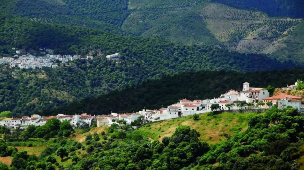 Qué ver en Cartajima, Málaga: descubre los secretos mejor guardados
