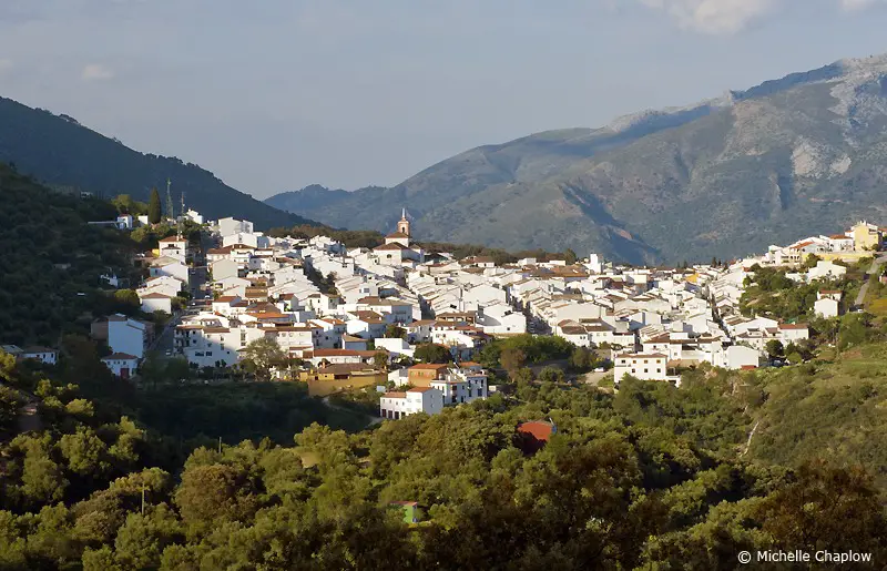 Qué ver en Cortes de la Frontera, Málaga: Encantos por descubrir