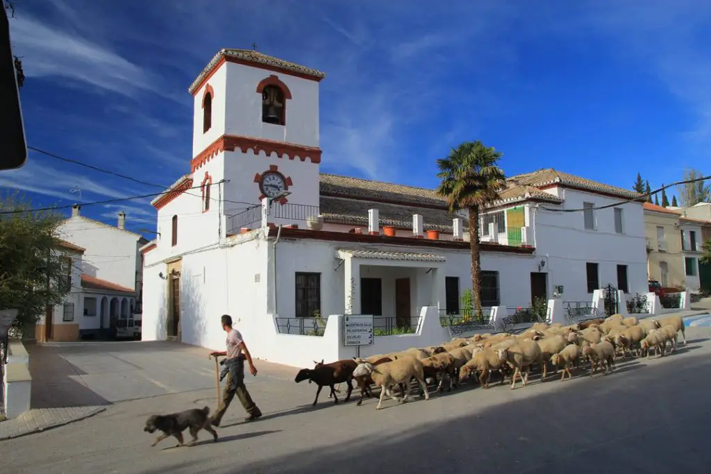 Qué ver en Santa Cruz del Comercio, Granada: Secretos y maravillas por descubrir