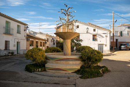 Foto de huerto en huesca