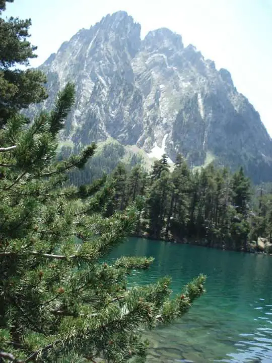 Qué ver en Torre la Ribera, Huesca: ¡Descubre los tesoros ocultos y encantos únicos!