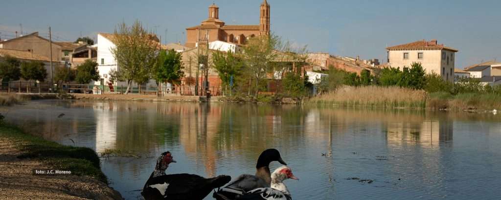 Qué ver en Codos, Zaragoza: Descubre los secretos mejor guardados
