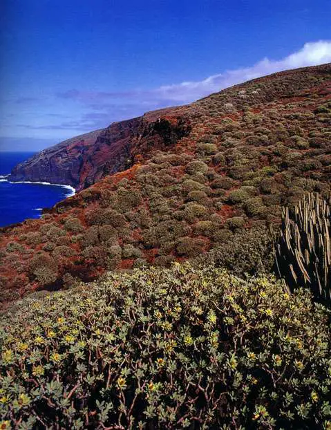 Qué ver en Garafía, Santa Cruz de Tenerife: La joya oculta de las Islas Canarias