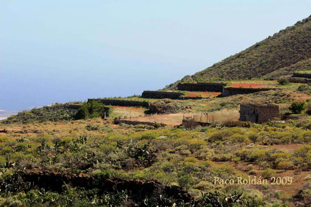 Qué ver en Granadilla de Abona, Santa Cruz de Tenerife: Descubre los secretos mejor guardados