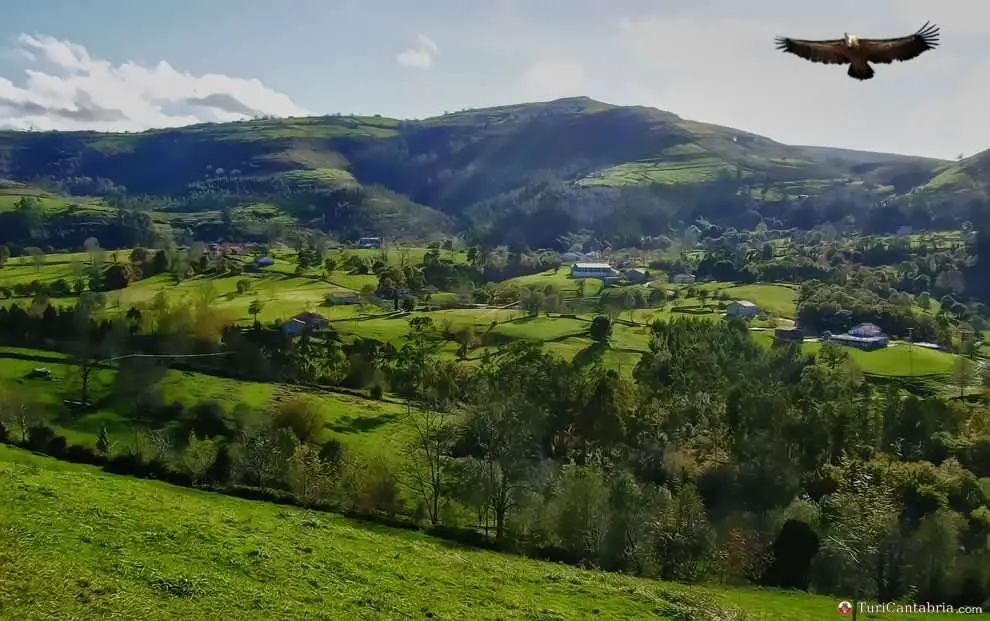 Qué ver en Solórzano, Cantabria: Descubre los tesoros ocultos de este encantador destino