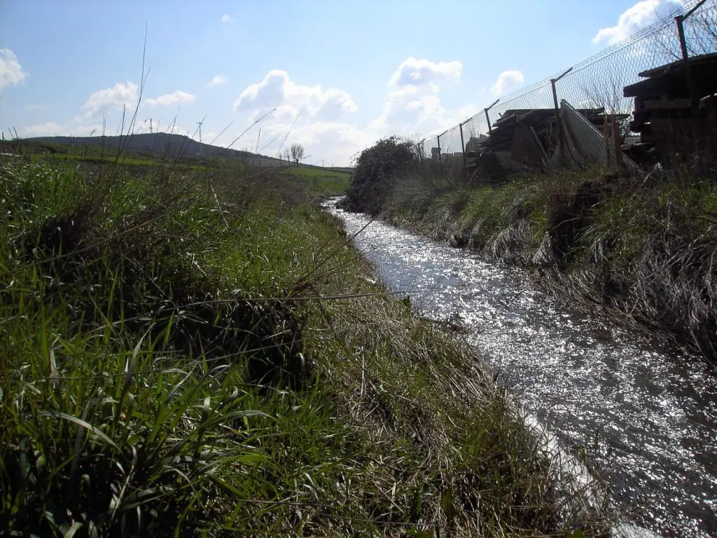 Qué ver en Cañada de Calatrava, Ciudad Real: Descubre sus tesoros ocultos