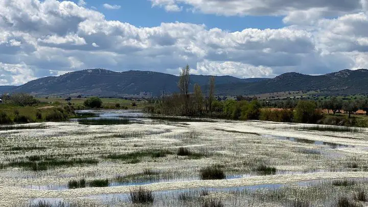 Qué ver en El Robledo, Ciudad Real: Descubre sus tesoros ocultos