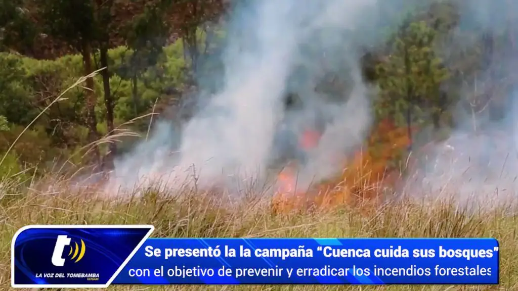 Qué ver en Pineda de Gigüela, Cuenca: Descubre los tesoros ocultos