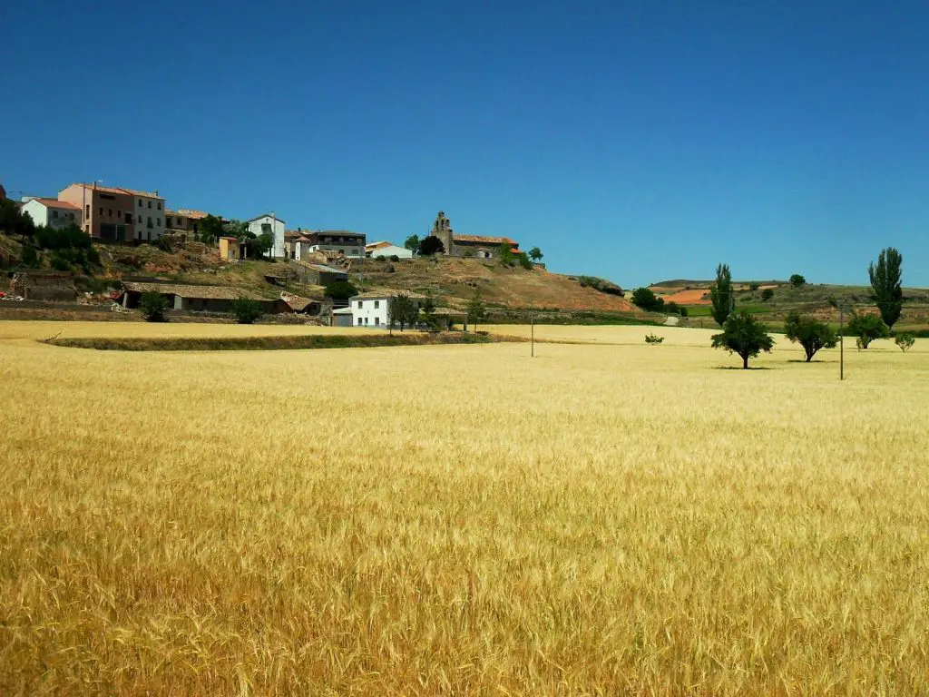 Qué ver en Villaseca de Henares, Guadalajara: Descubre los tesoros ocultos de este encantador pueblo