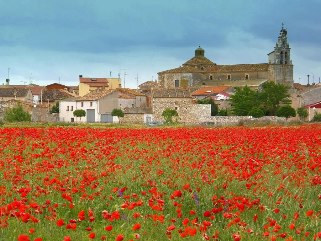 Qué ver en Campillo de Aranda, Burgos: Descubre los tesoros de este encantador destino