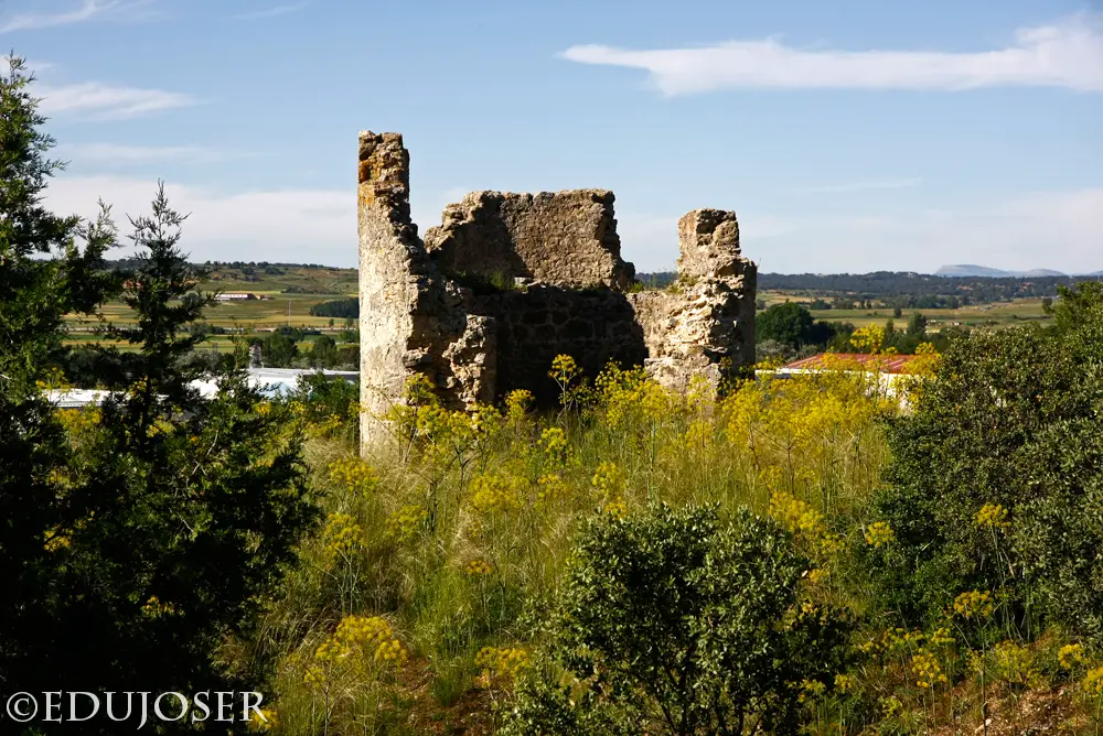 Qué ver en Castrillo de la Vega, Burgos: Descubre sus tesoros ocultos