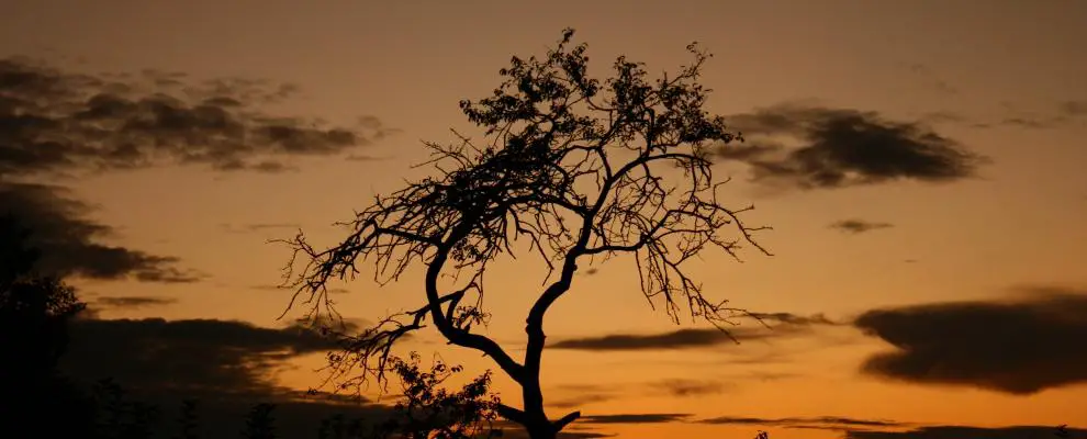 Qué ver en Fuentes de Carbajal, León: Descubre sus joyas ocultas