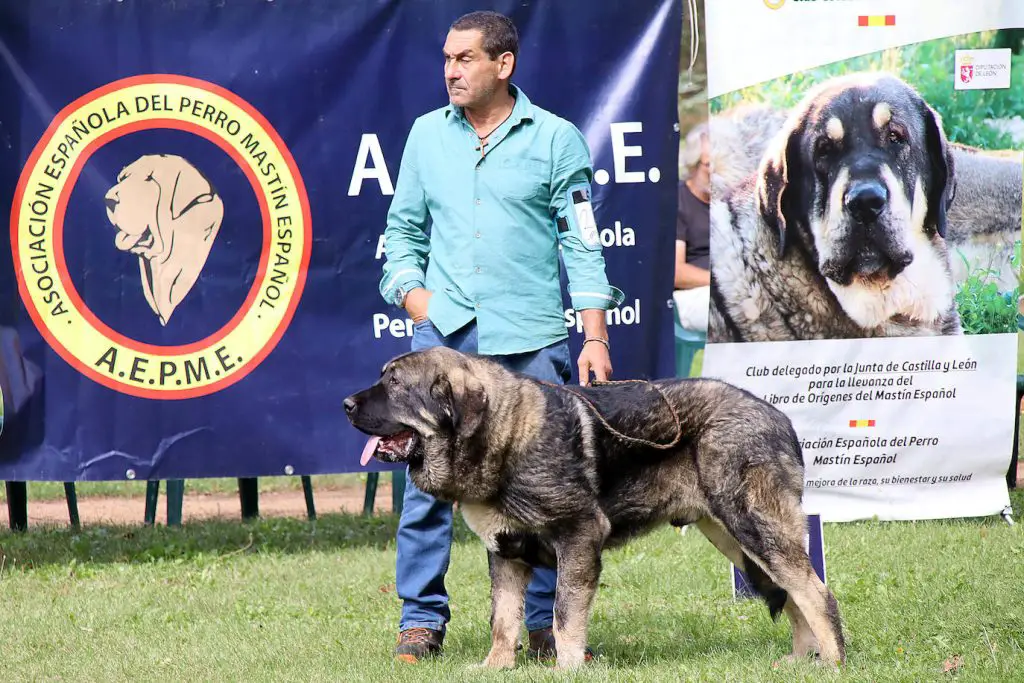 Qué ver en Gordoncillo, León: descubre sus secretos escondidos