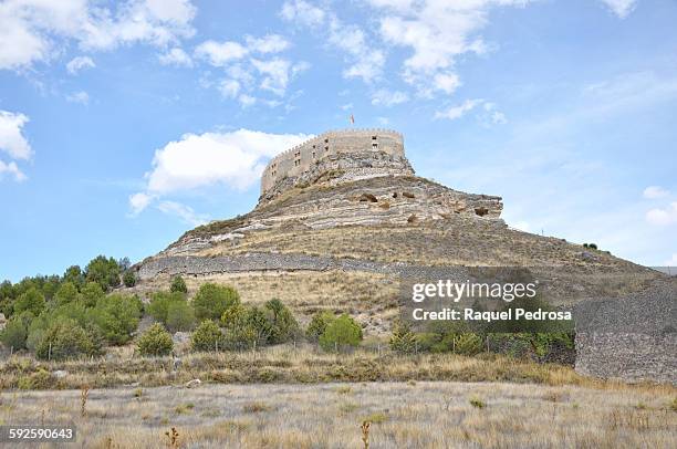 Qué ver en Pedrosa de Duero, Burgos: Secretos y encantos por descubrir