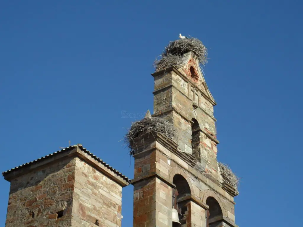 Qué ver en Quintana del Marco, León: Descubre sus tesoros ocultos