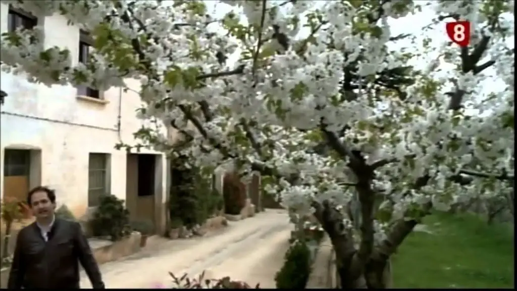 Qué ver en Salas de Bureba, Burgos: Descubre los secretos mejor guardados