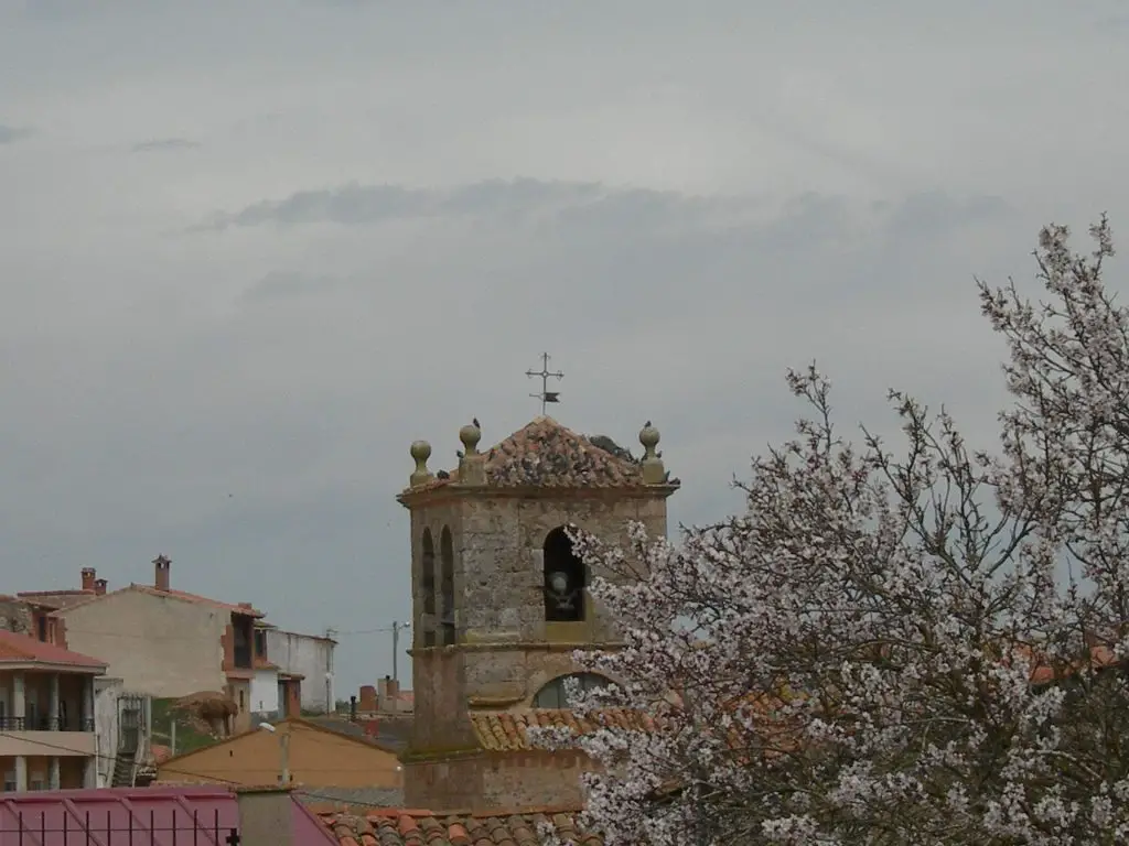 Qué ver en Santa Cecilia, Burgos: Descubre los tesoros escondidos