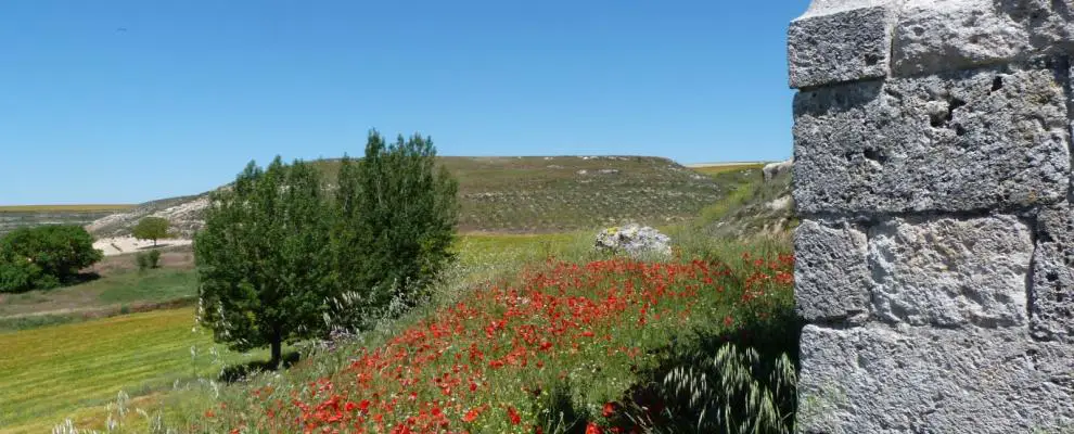 Qué ver en Santibáñez de Esgueva, Burgos: Maravillas por descubrir
