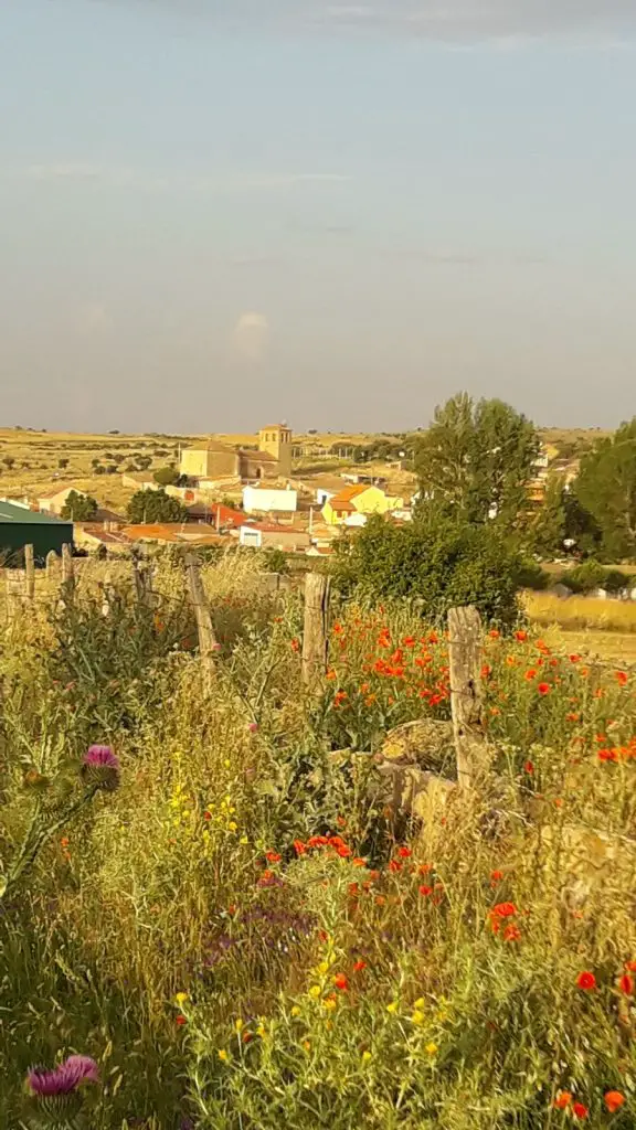 Qué ver en Tornadizos de Ávila, Ávila: Guía imprescindible para explorar esta joya escondida