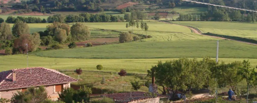Qué ver en Torrecilla del Monte, Burgos: encanto y naturaleza espléndida
