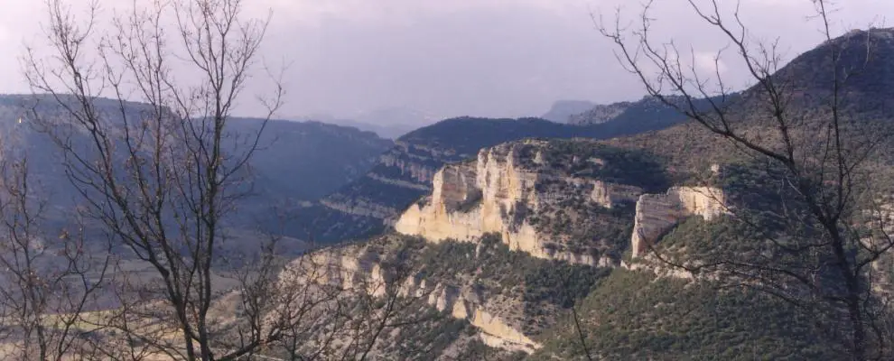 Qué ver en Valle de Zamanzas, Burgos: secretos y maravillas escondidas