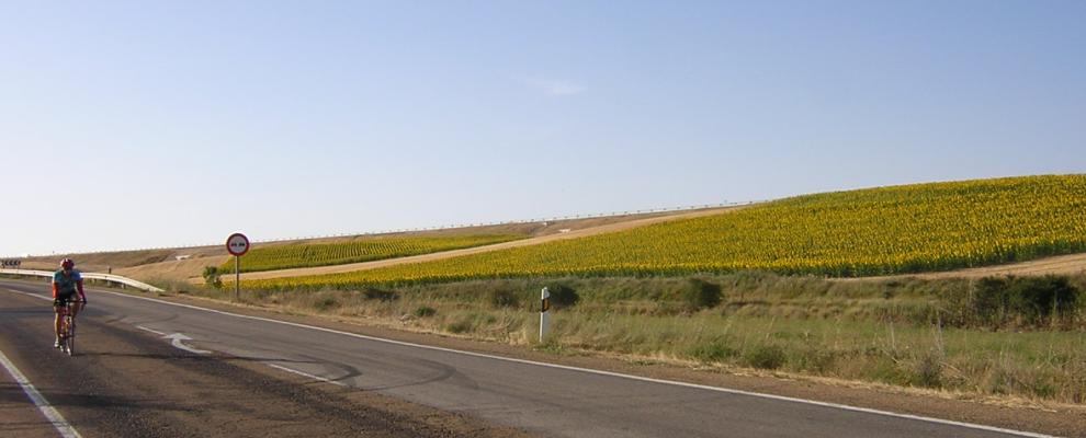 Qué ver en Villanueva de Argaño, Burgos: Un destino escondido y mágico