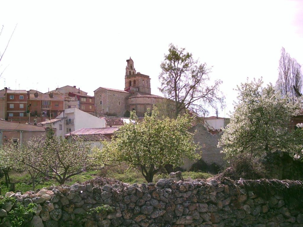 Qué ver en Espinosa de Cerrato, Palencia: Descubre sus secretos ocultos