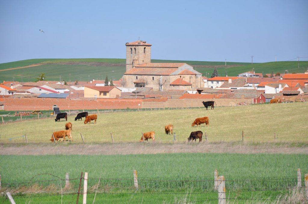 Qué ver en Mancera de Abajo, Salamanca: descubre sus encantos ocultos